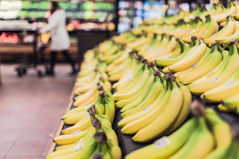 Cavendish banana bunch in supermarket display