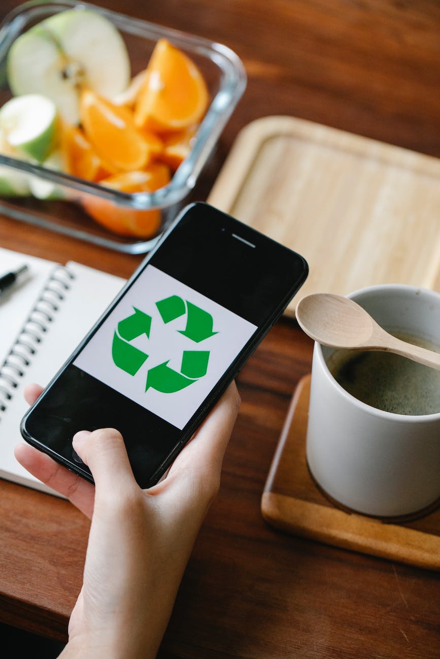 crop person with recycle symbol on smartphone