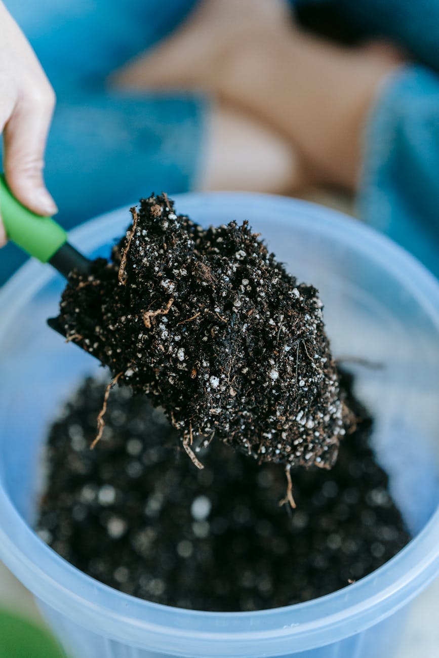 crop horticulturist with soil on gardening trowel