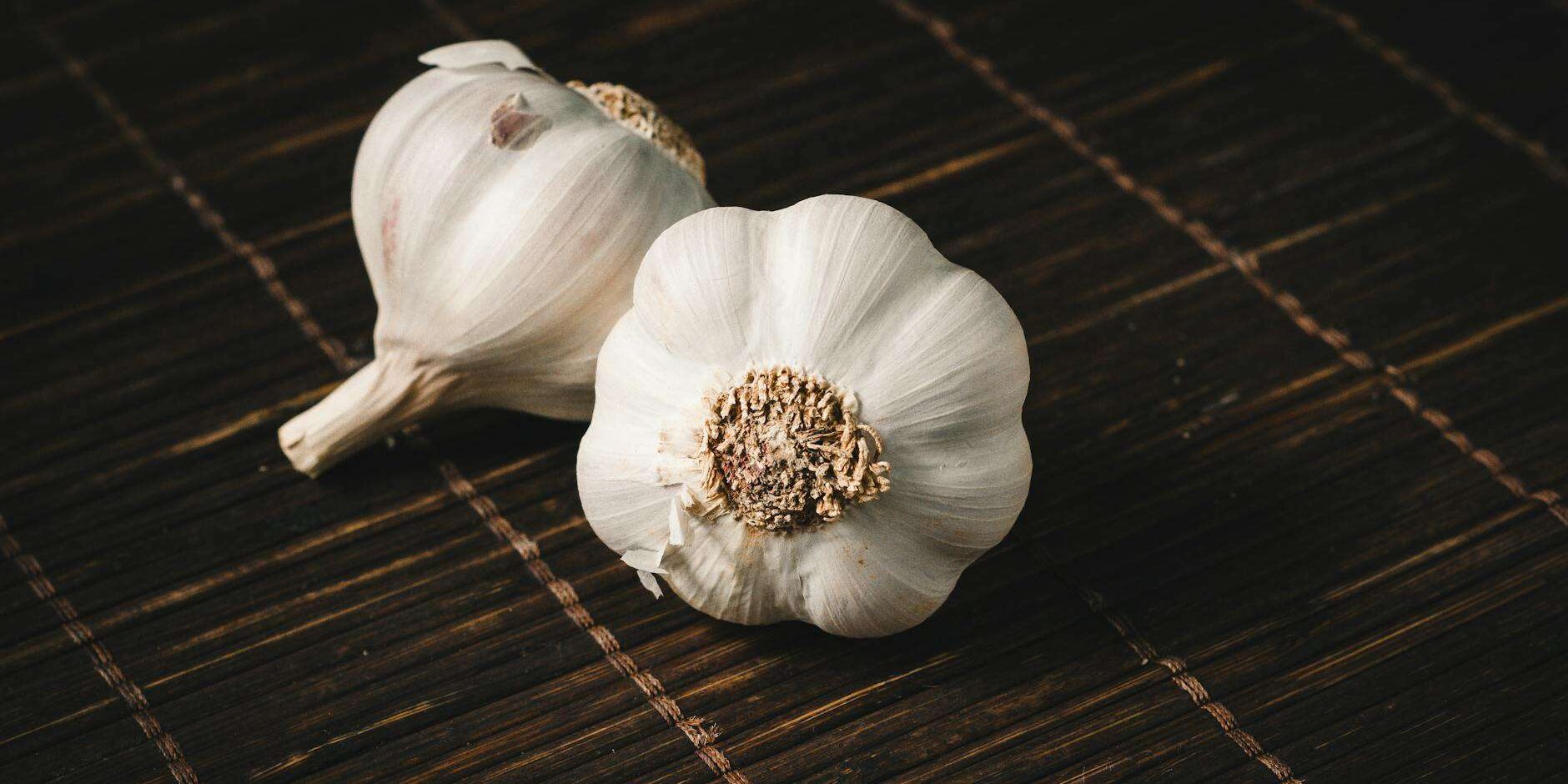 Fresh garlic bulbs ready for backyard planting