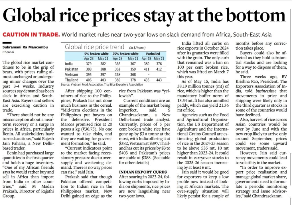 infographic showing 2025 Global Rice Prices, highlighting production, export trends, and market outlook for major countries like India, Thailand, and Vietnam.