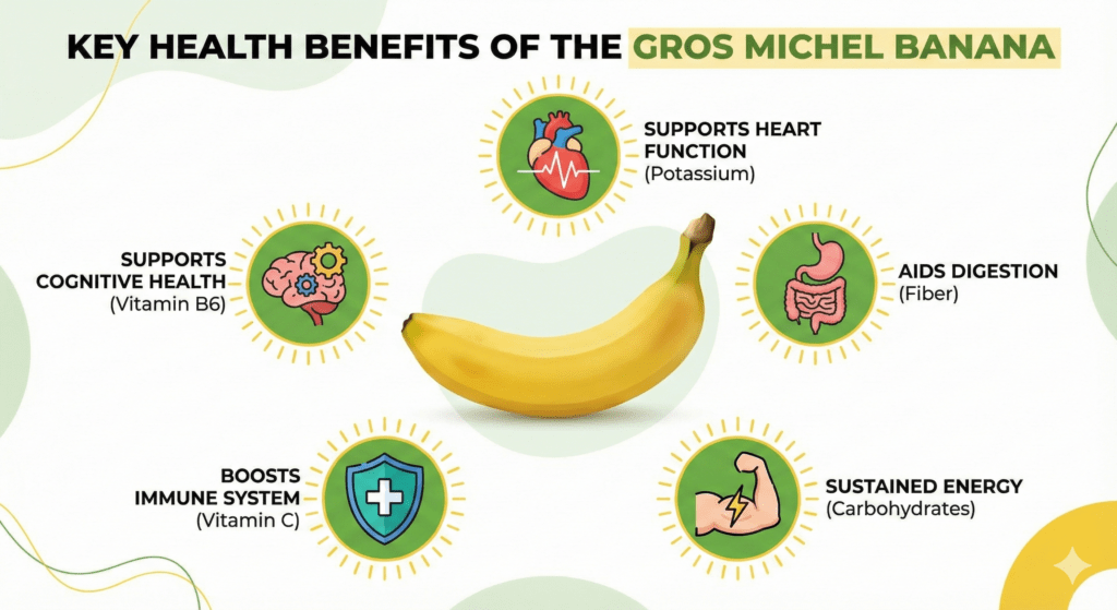 Gros Michel Banana bunch with thick peel and rich yellow color