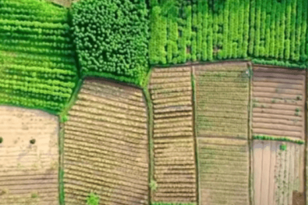 Indian farmland fields – Challenges faced by farmers