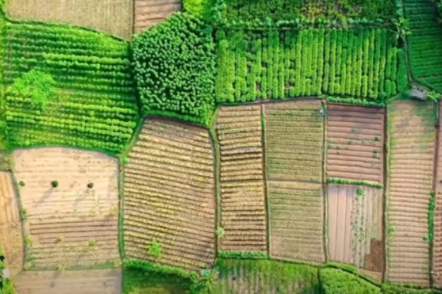 Indian farmland fields – Challenges faced by farmers