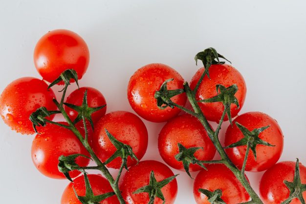 Fresh tomatoes on vine in backyard garden